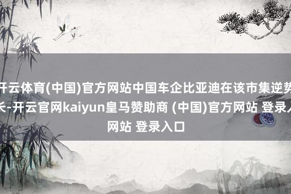 开云体育(中国)官方网站中国车企比亚迪在该市集逆势增长-开云官网kaiyun皇马赞助商 (中国)官方网站 登录入口