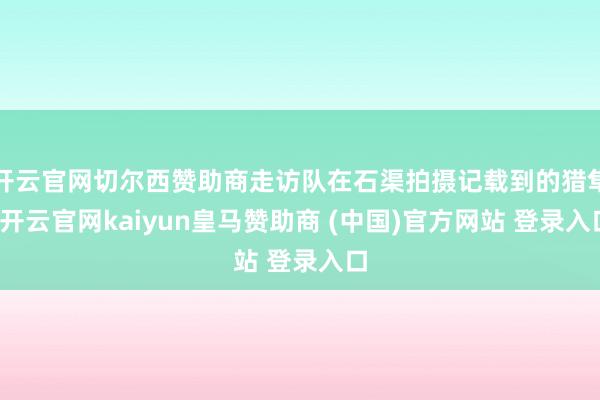 开云官网切尔西赞助商走访队在石渠拍摄记载到的猎隼-开云官网kaiyun皇马赞助商 (中国)官方网站 登录入口